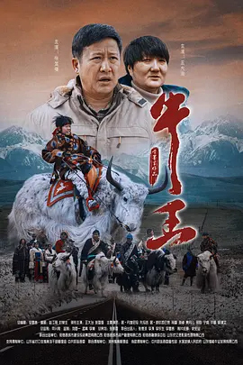 BD国语高清完整版