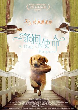 《山河为证》正式上映！