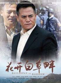 BD国语高清完整版