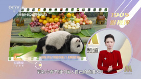 清晰在线播放观看